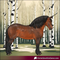 Horse Color:Brown 