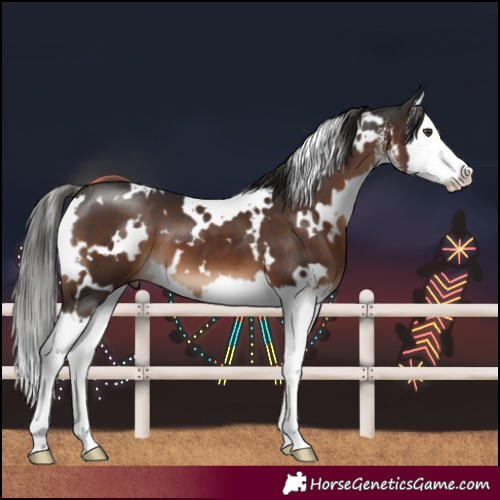 Horse Color:White Spotted Liver Chestnut Splash 