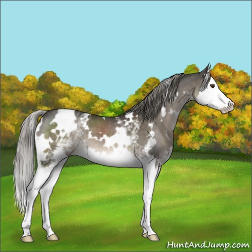 Horse Color:White Spotted Liver Red Dun Mushroom Splash Brindle 