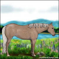 Horse Color:Silver Grullo 