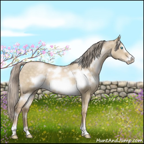 Horse Color:White Spotted Chocolate Palomino Pearl Dun Frame 