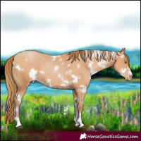 Horse Color:White Spotted Bay Pearl