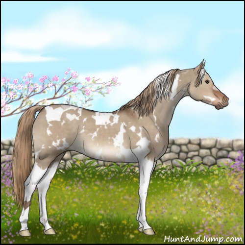 Horse Color:White Spotted Liver Red Dun Tobiano 