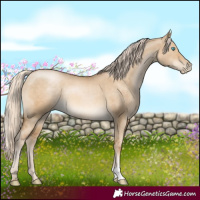 Horse Color:Chocolate Palomino Pearl Dun 