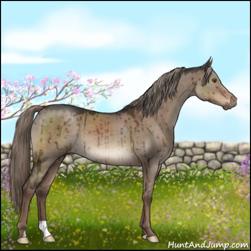 Horse Color:Liver Red Dun Mushroom Brindle 