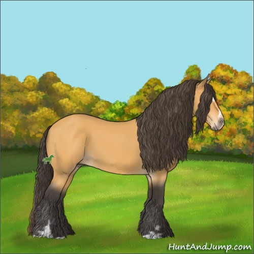Horse Color:Buckskin Sabino