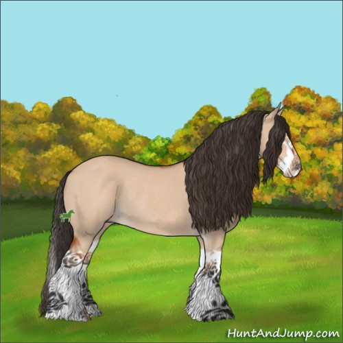 Horse Color:Bay Dun Sabino Splash Rabicano 