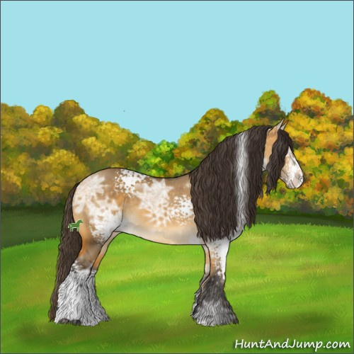 Horse Color:White Spotted Buckskin Ice Dun Rabicano