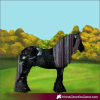 Horse Color:ERROR: UNKNOWN ANOMALY