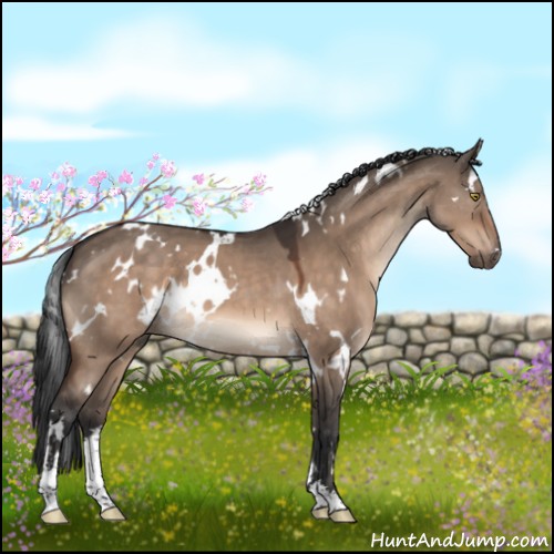 Horse Color:White Spotted Brown Dun Mushroom Sabino