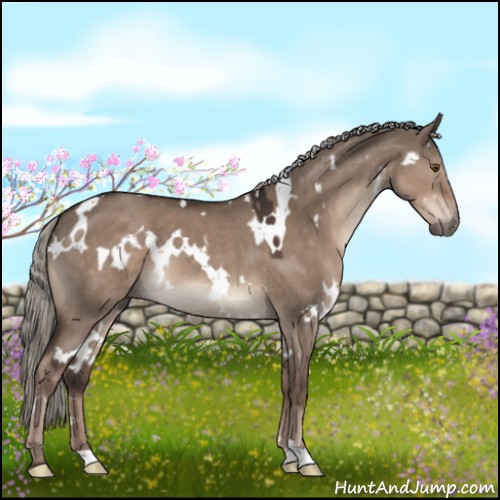 Horse Color:White Spotted Liver Red Dun Mushroom 
