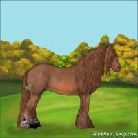 Horse Color:Chestnut Sabino