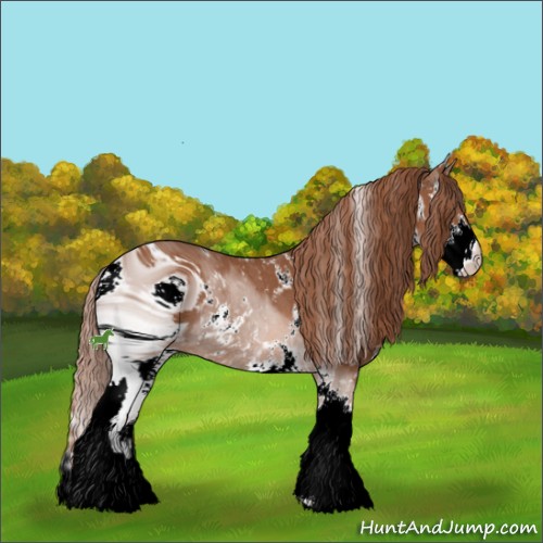 Horse Color:ERROR: UNKNOWN ANOMALY