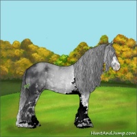 Horse Color:Black Sabino 