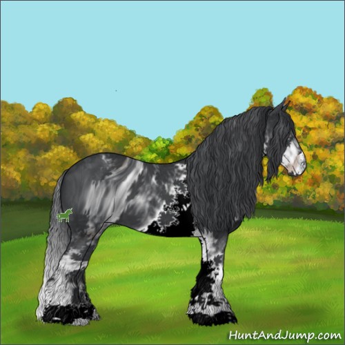 Horse Color:ERROR: UNKNOWN ANOMALY