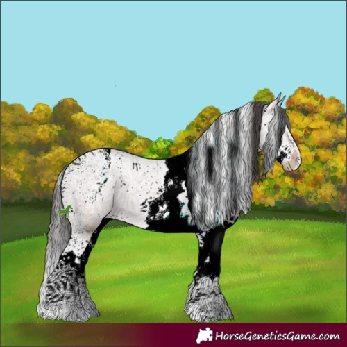 Horse Color:ERROR: UNKNOWN ANOMALY