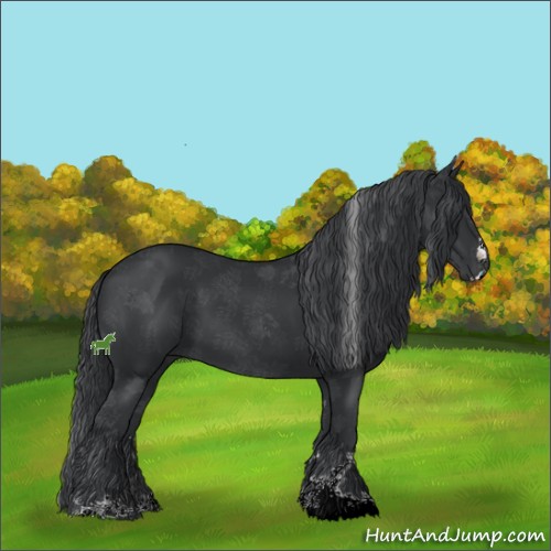 Horse Color:Black Sabino 