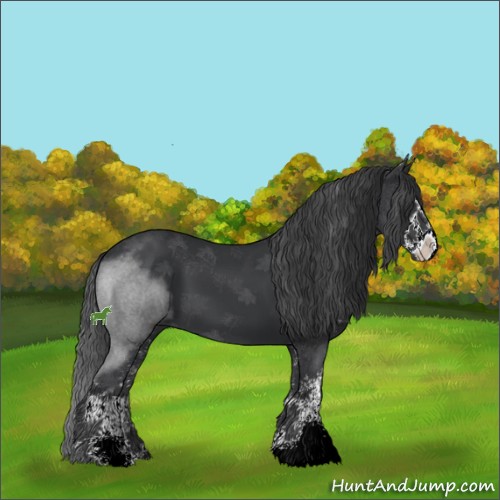 Horse Color:Black Sabino 