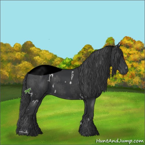 Horse Color:ERROR: UNKNOWN ANOMALY