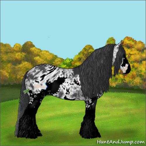 Horse Color:ERROR: UNKNOWN ANOMALY
