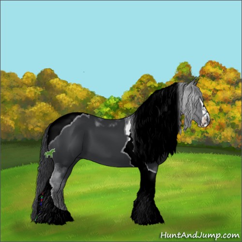 Horse Color:Black Sabino Tobiano