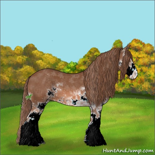 Horse Color:Chestnut Sabino
