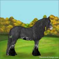 Horse Color:Black Sabino 