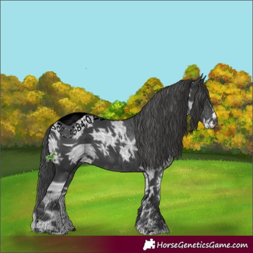 Horse Color:ERROR: UNKNOWN ANOMALY
