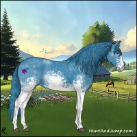 Horse Color:Watercolor White Spotted Black 