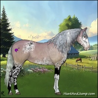 Horse Color:Watercolor White Spotted Silver Brown 