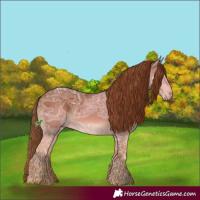 Horse Color:Chestnut Ice 