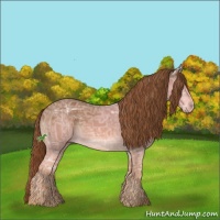 Horse Color:Chestnut Ice 