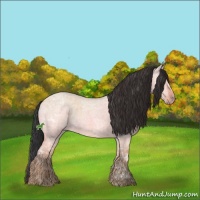 Horse Color:Bay Ice Roan Dun