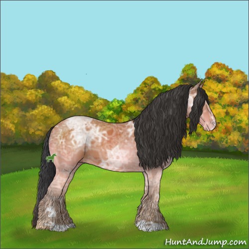 Horse Color:Bay Ice Sabino