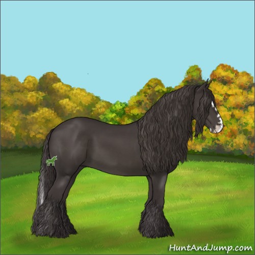 Horse Color:Smoky Black Sabino Splash