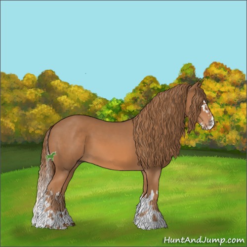 Horse Color:Chestnut Sabino Splash 