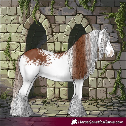 Horse Color:White Spotted Chestnut Splash 