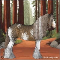 Horse Color:White Spotted Chocolate Palomino