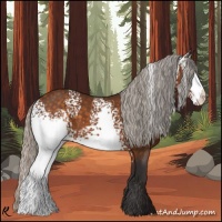 Horse Color:White Spotted Silver Buckskin 