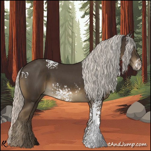 Horse Color:White Spotted Silver Smoky Black