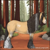 Horse Color:White Spotted Buckskin Dun 
