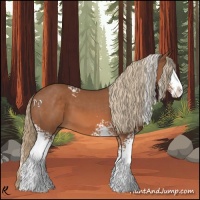 Horse Color:White Spotted Chestnut Splash 