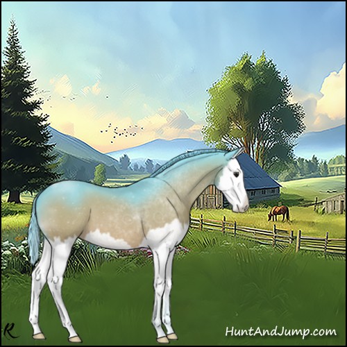 Horse Color:Watercolor Bay Splash