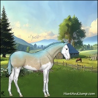 Horse Color:Watercolor Bay Splash 