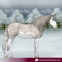 Horse Color:Silver Blue Roan Splash 