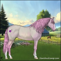 Horse Color:Watercolor Bay Roan Dun Sabino 