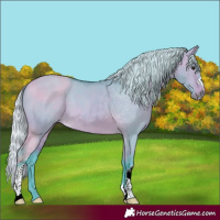 Horse Color:Watercolor Silver Bay Dun
