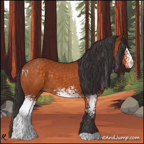 Horse Color:White Spotted Buckskin