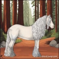 Horse Color:White Spotted Cremello