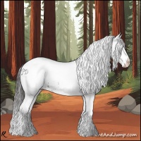 Horse Color:White Spotted Smoky Black 